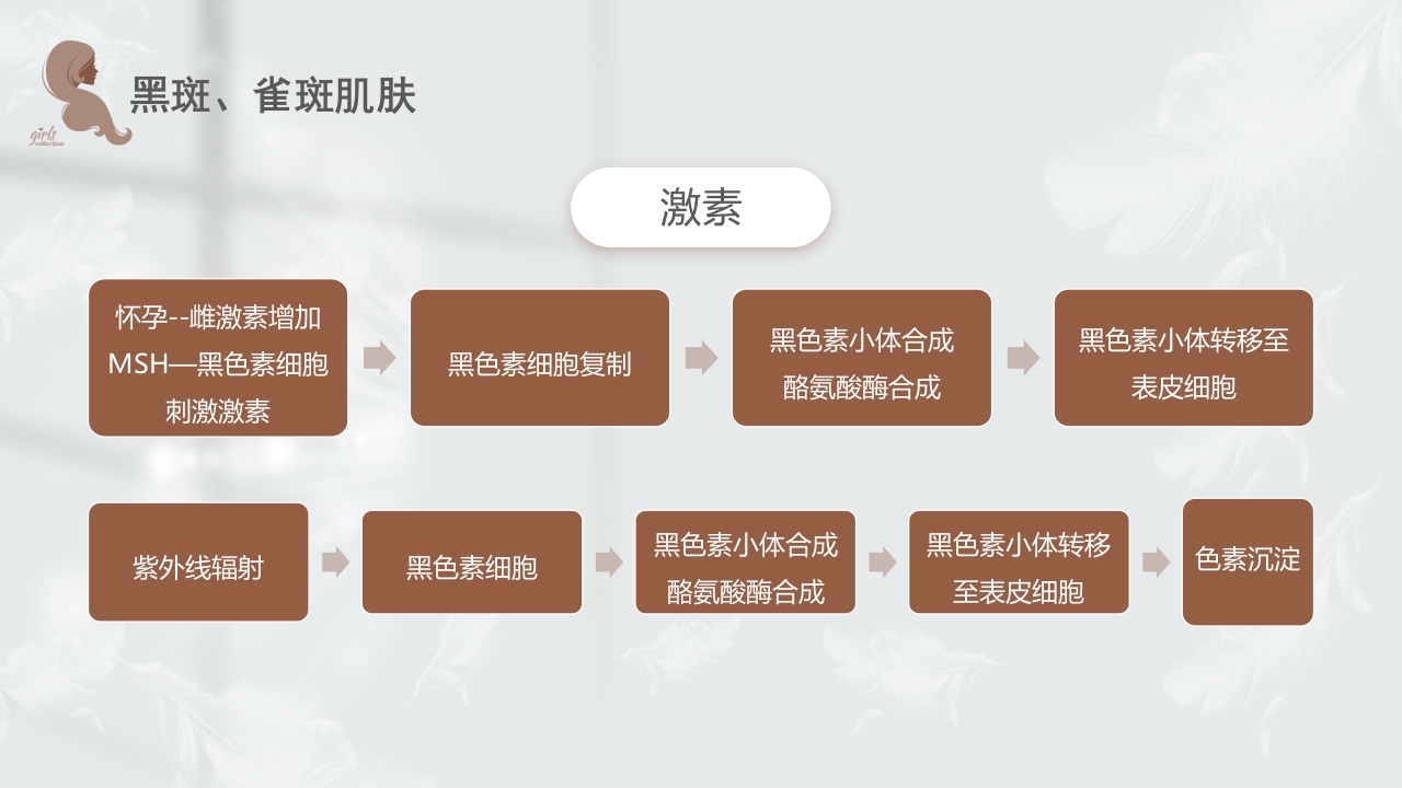 美容知识培训大全PPT课件23