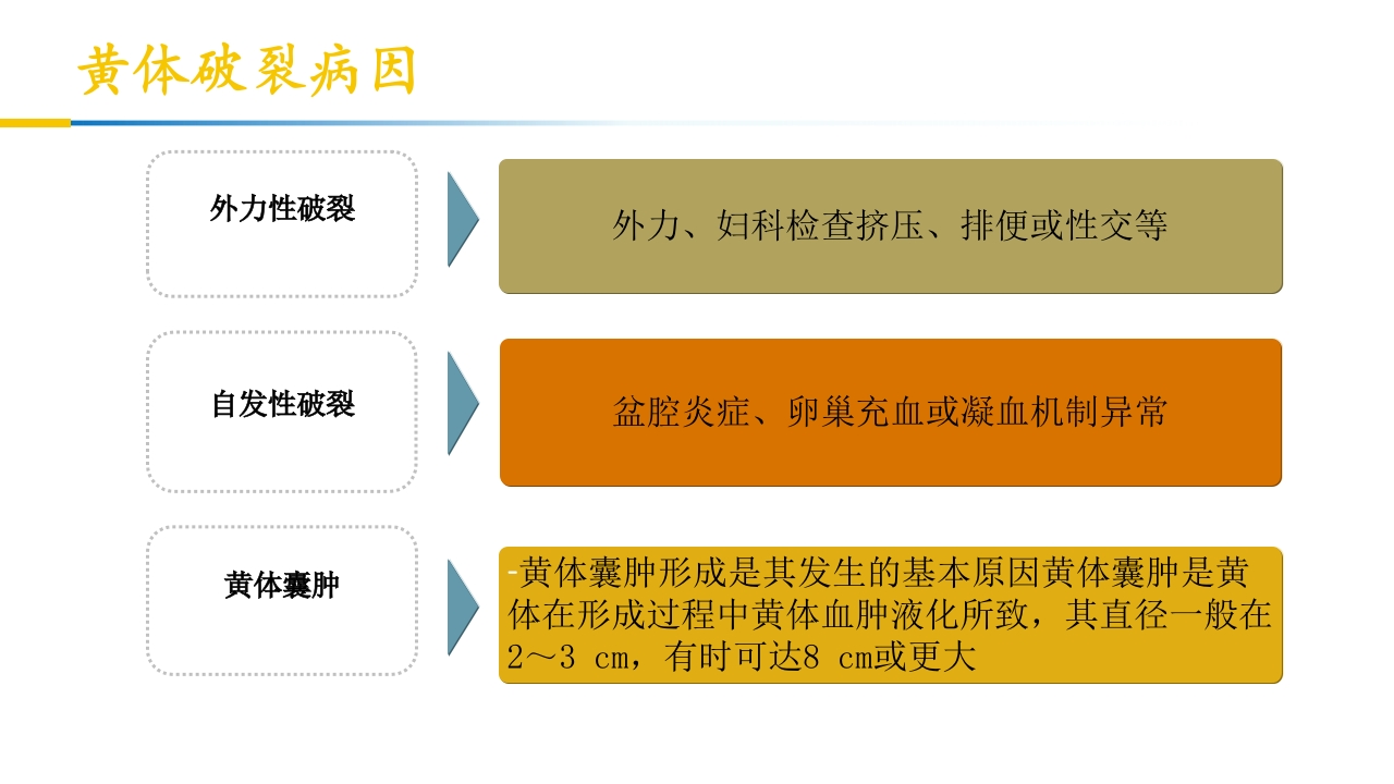 卵巢黄体破裂出血护理查房PPT课件10