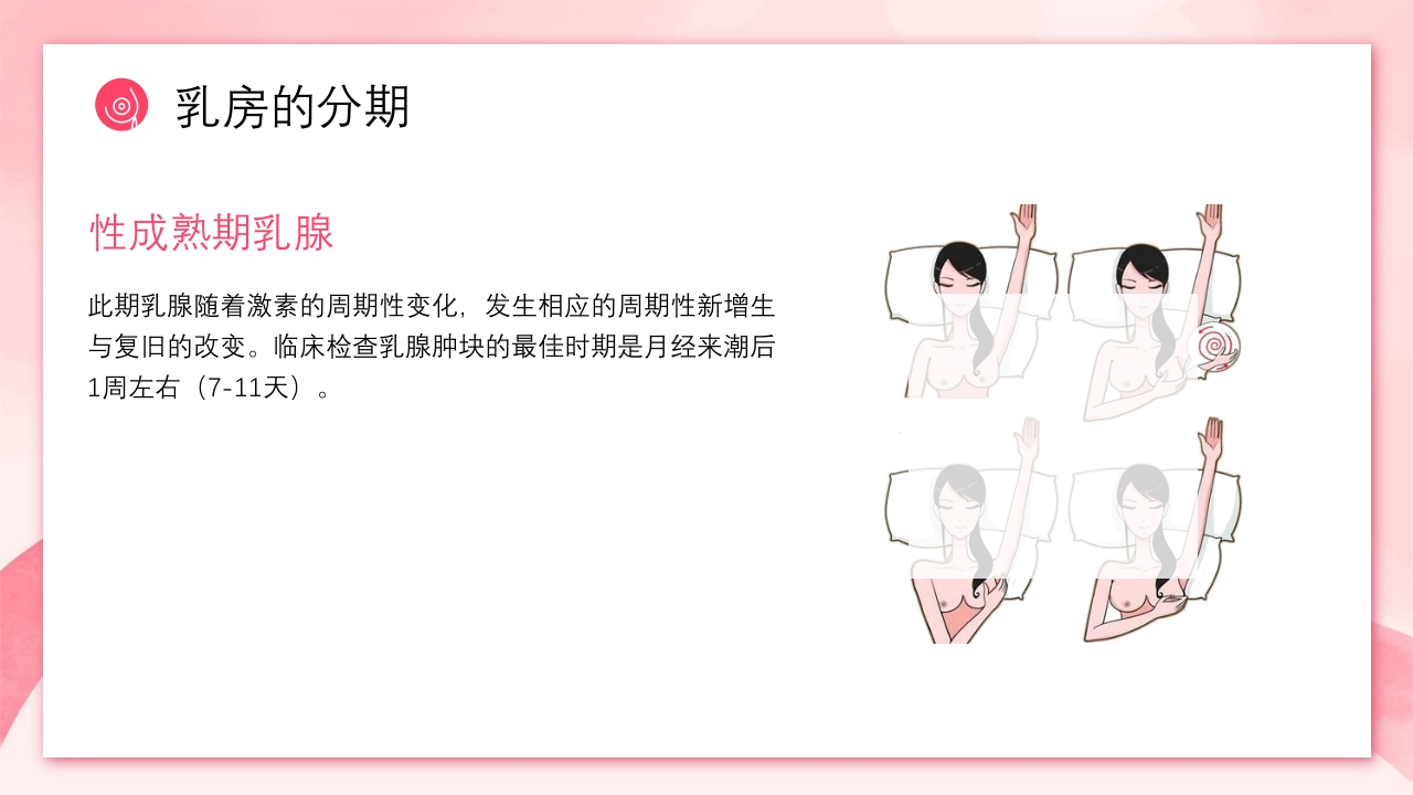 乳房护理相关知识ppt课件11