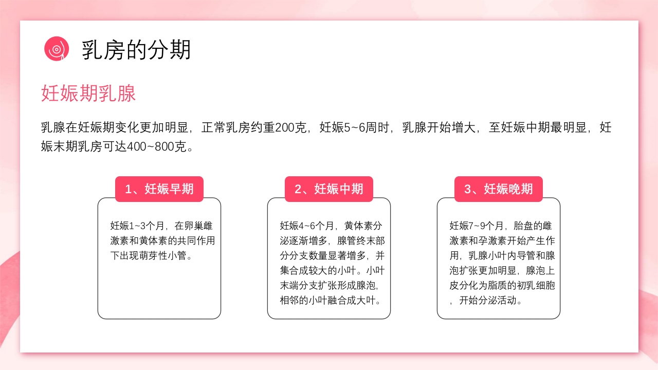 乳房护理相关知识ppt课件12