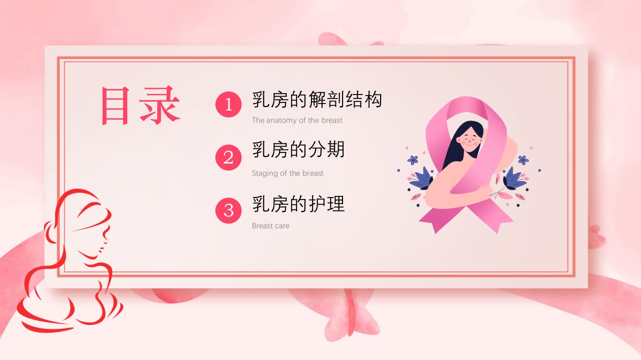 乳房护理相关知识ppt课件2