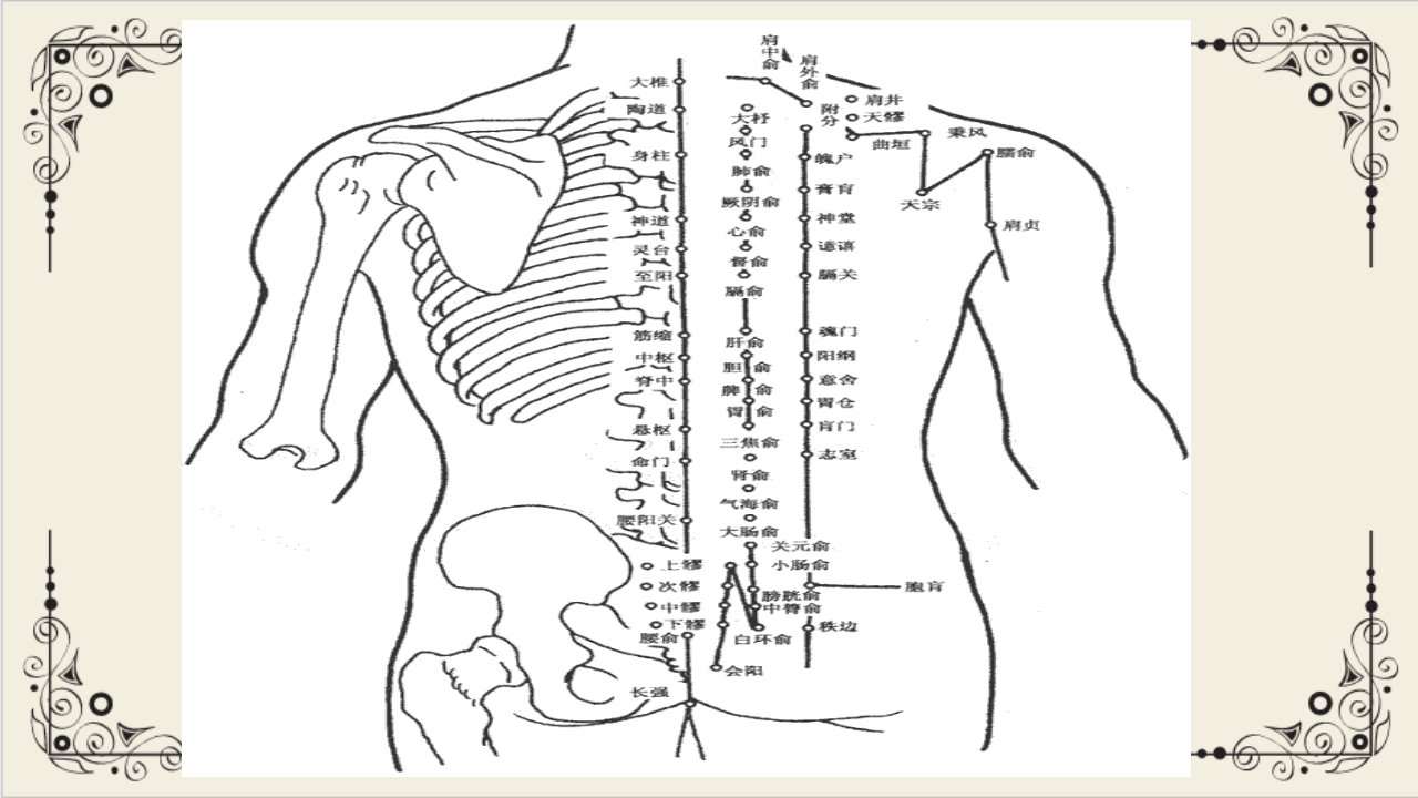 穴位贴敷疗法ppt课件22