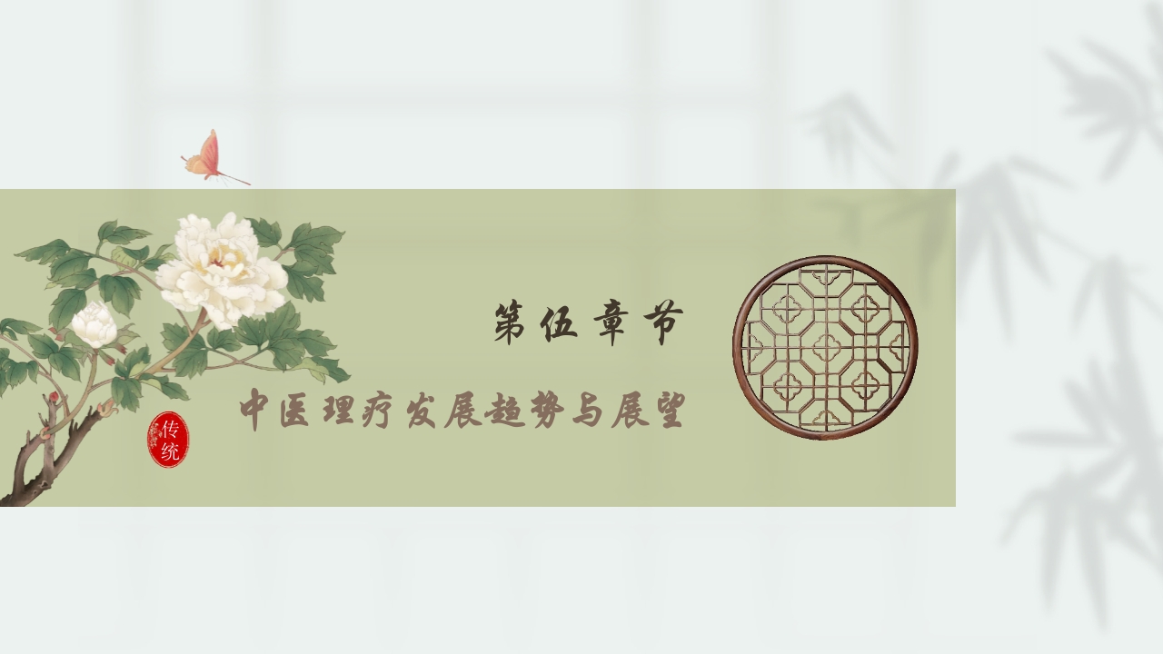 中医理疗PPT课件21