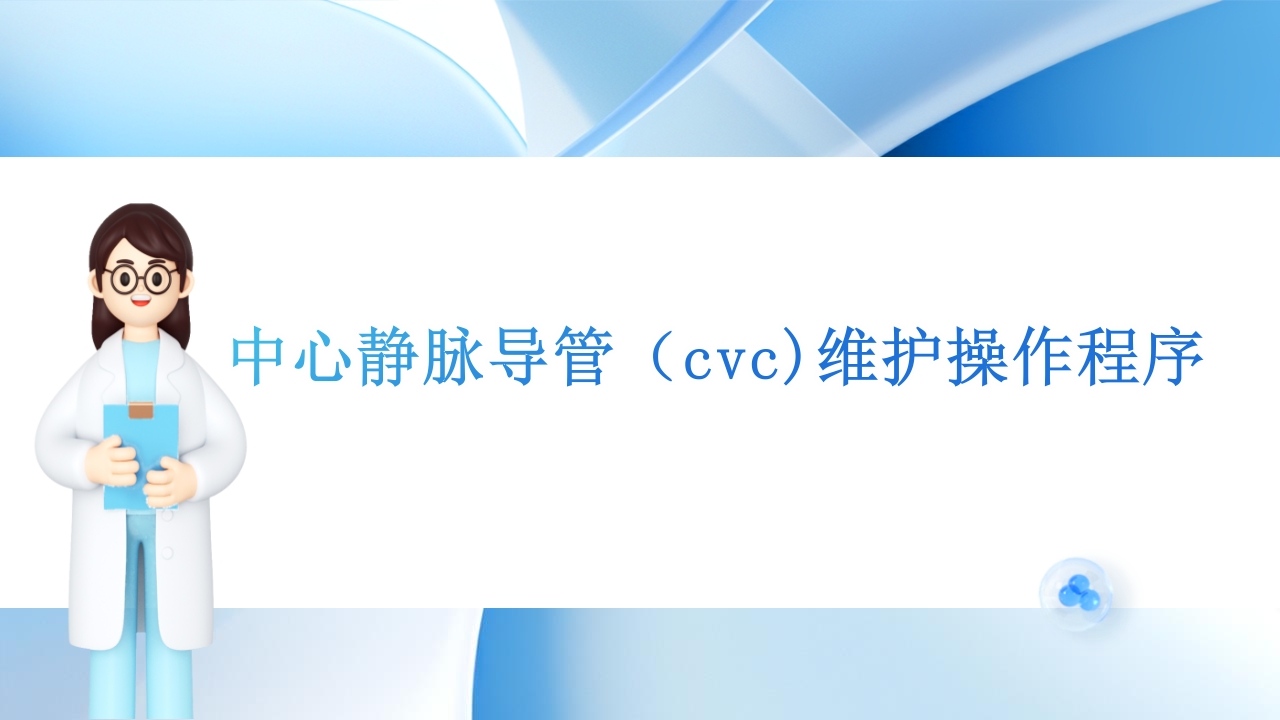 CVC使用原则与维护流程ppt课件13