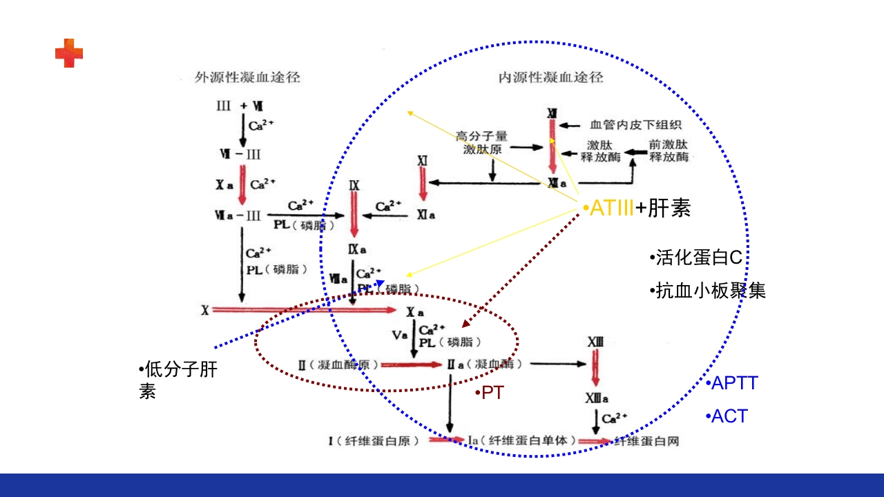 危重患者的血液净化ppt课件51
