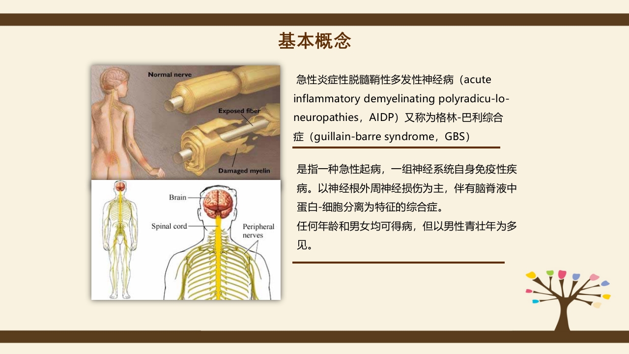 格林巴利综合症的护理查房PPT课件3