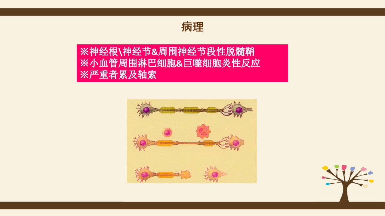 格林巴利综合症的护理查房PPT课件6