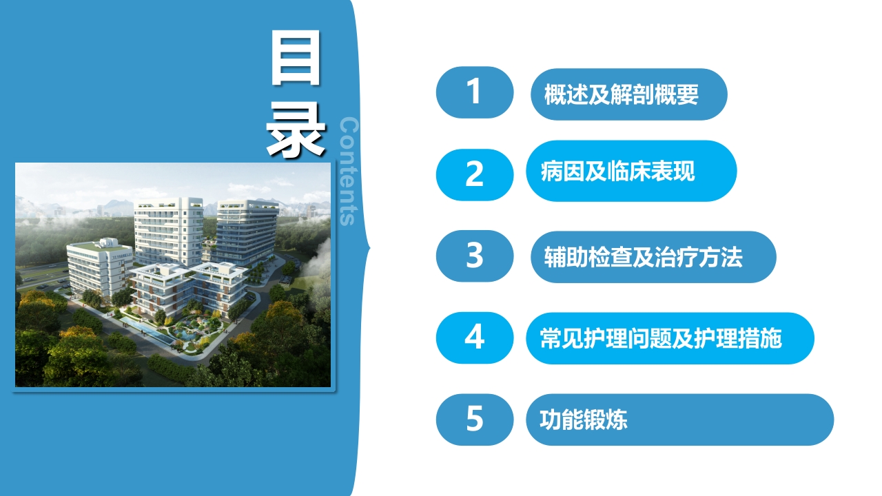 腰椎间盘突出理论培训PPT课件2