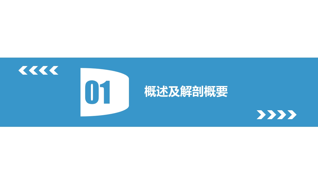 腰椎间盘突出理论培训PPT课件3