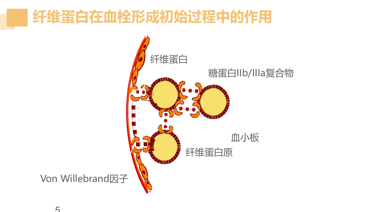 急性脑梗死的溶栓及抗栓治疗PPT课件32