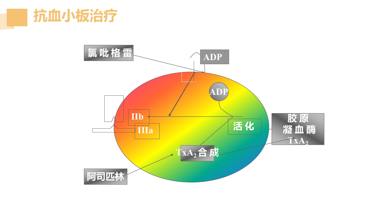 急性脑梗死的溶栓及抗栓治疗PPT课件34