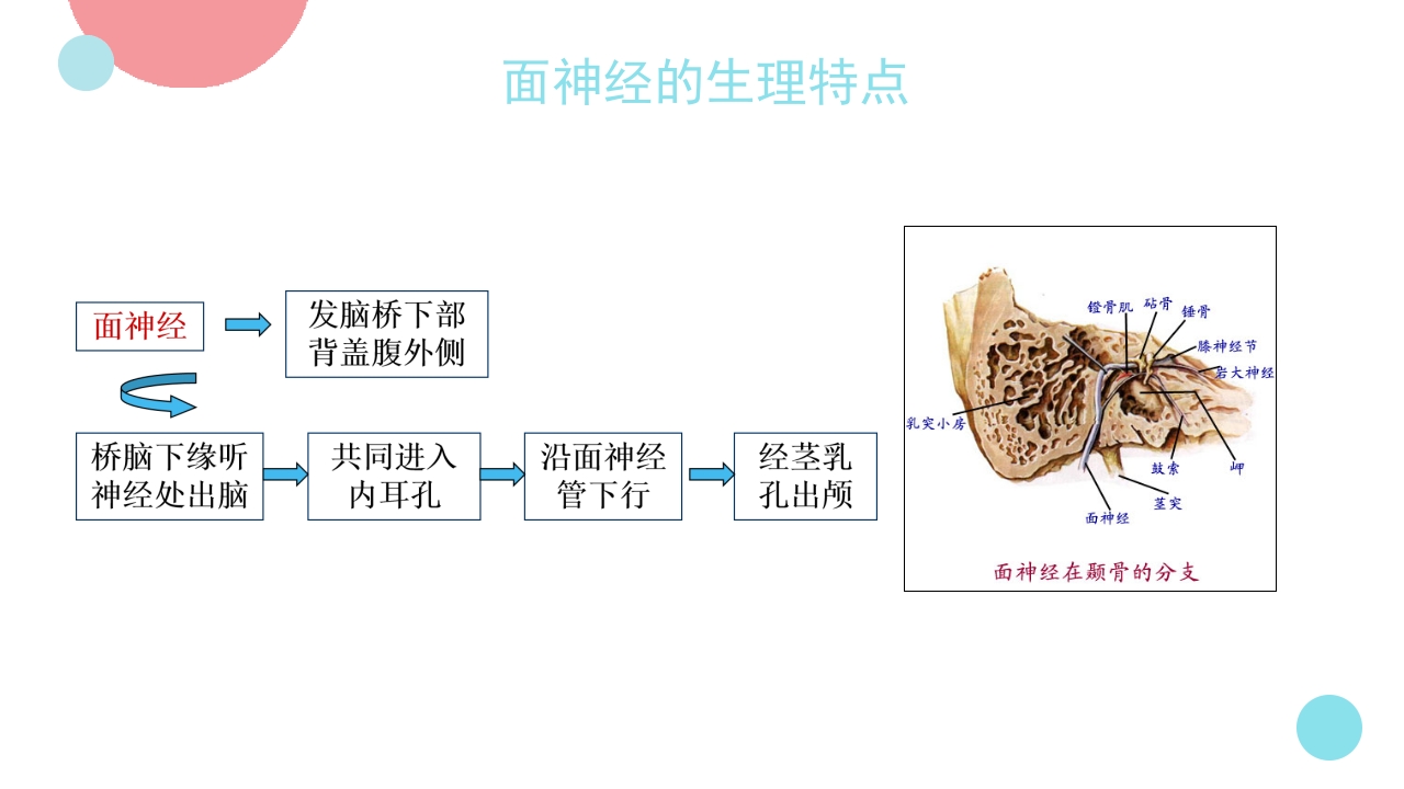 脑神经炎的中医治疗PPT课件3