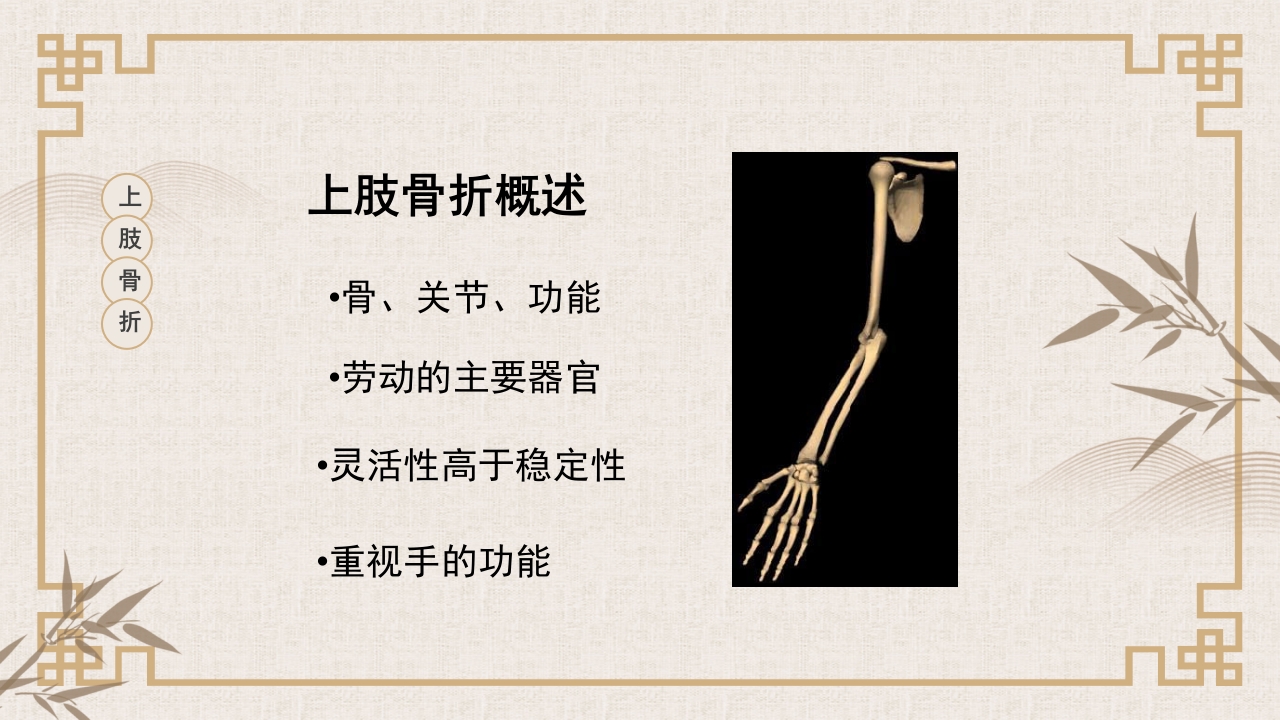 中医伤科上肢骨折护理查房PPT课件2