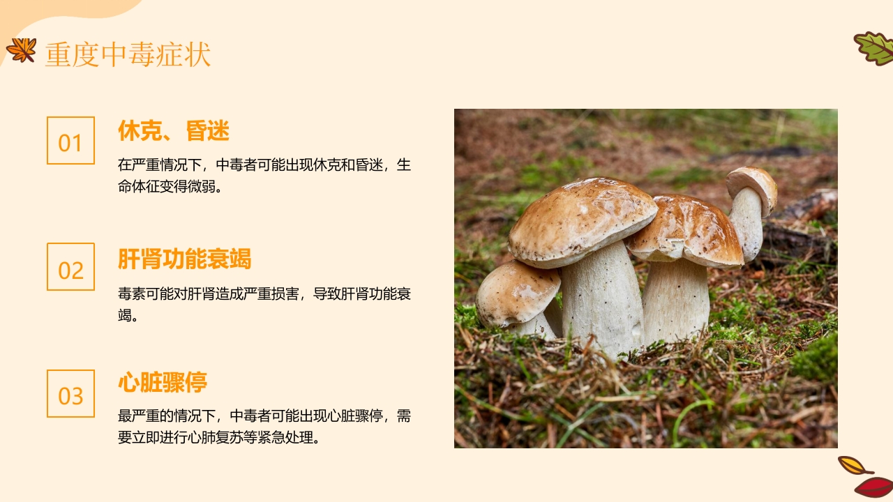 野生菌中毒急救PPT课件14