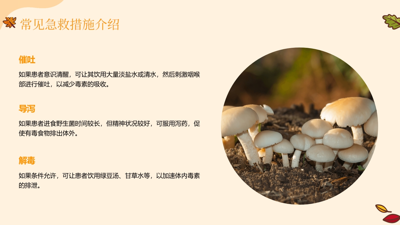 野生菌中毒急救PPT课件21