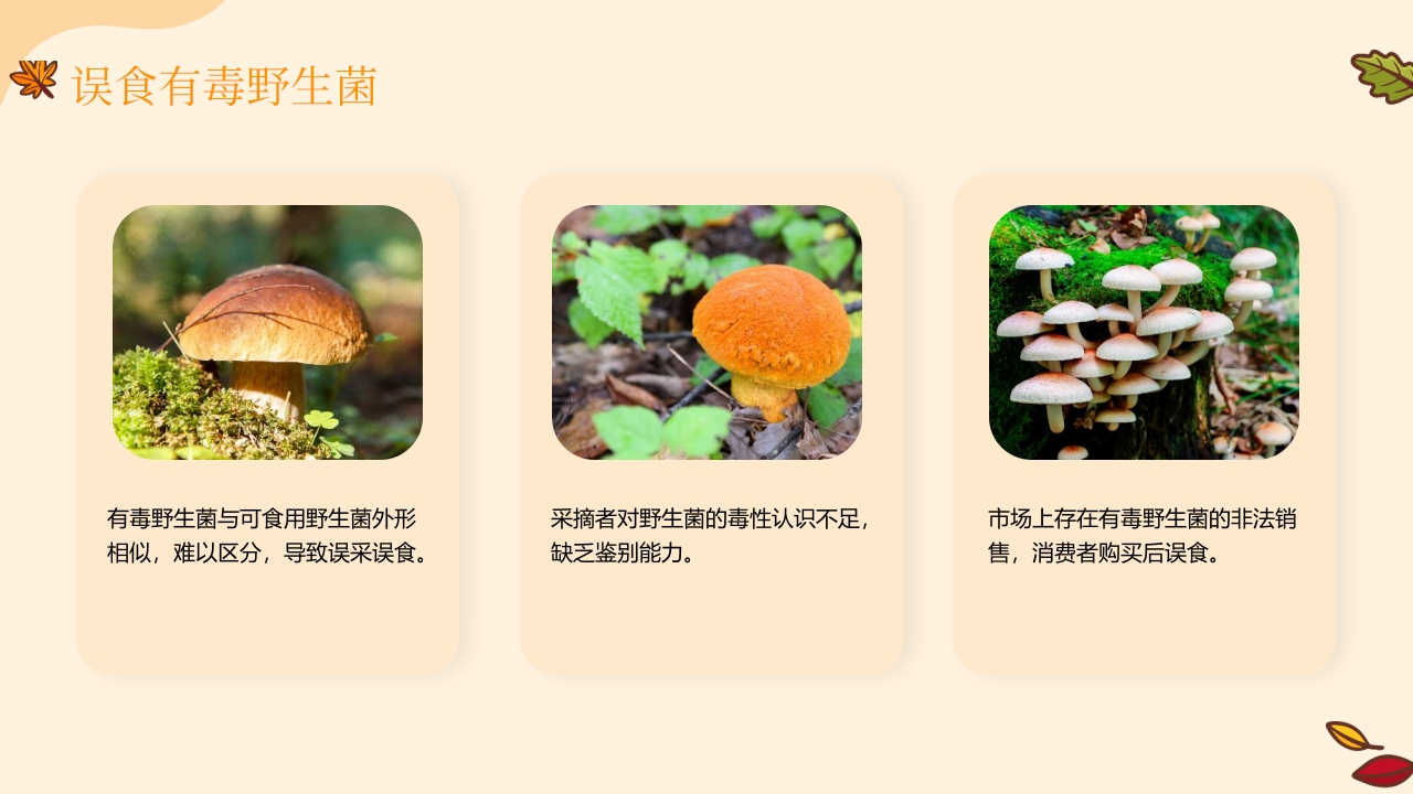 野生菌中毒急救PPT课件8