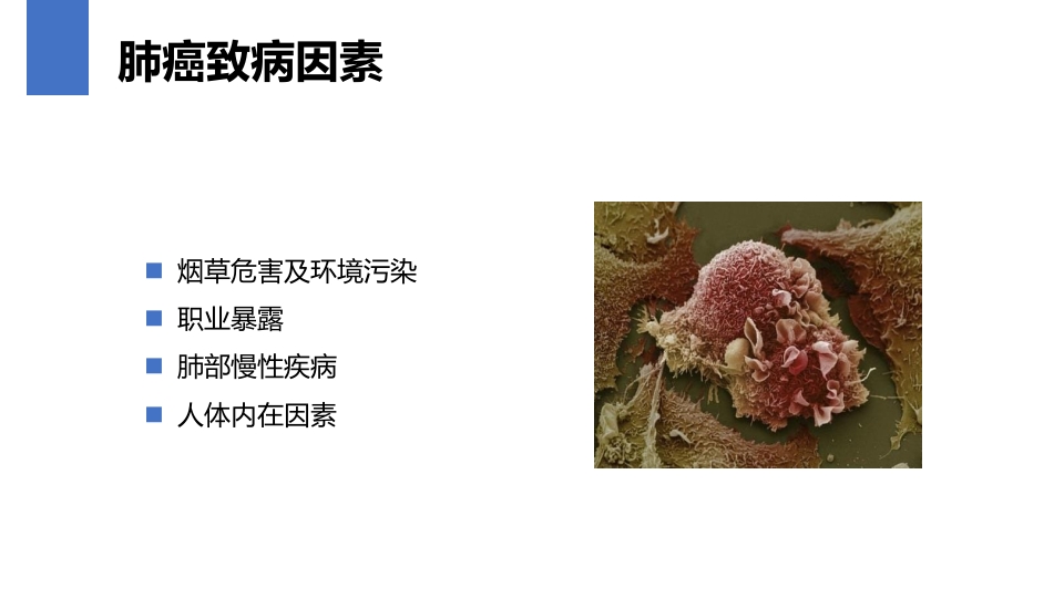 肺癌的早期诊断与防治PPT课件6