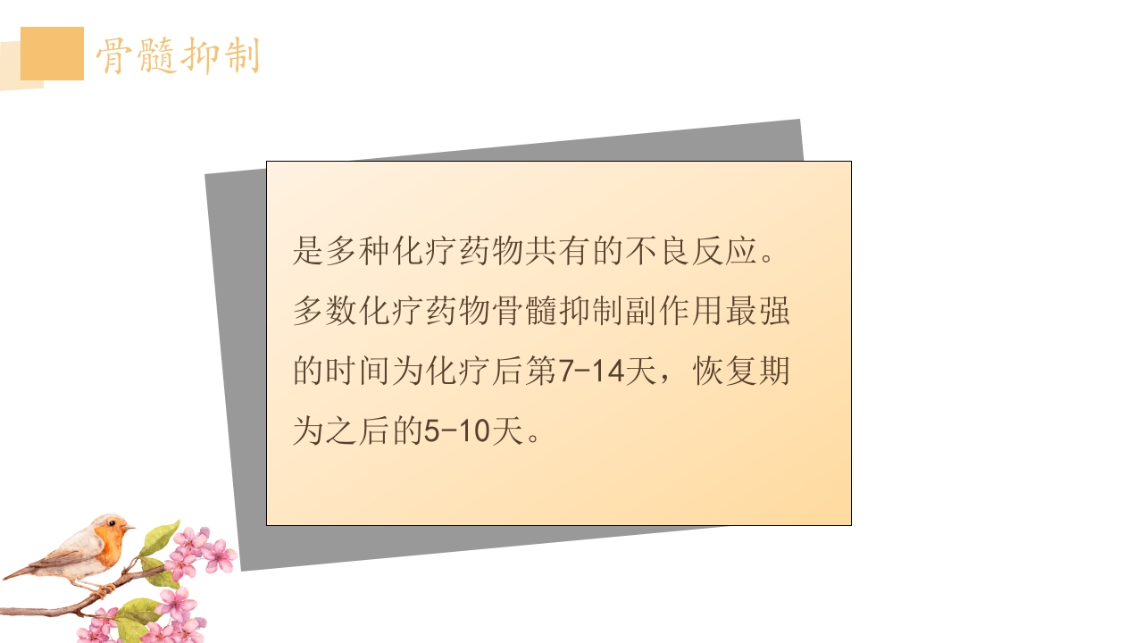 化疗药物的不良反应及护理ppt6