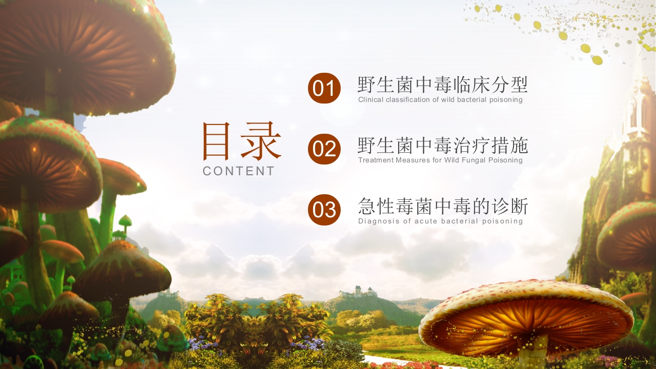 野生菌中毒的临床救治PPT课件2