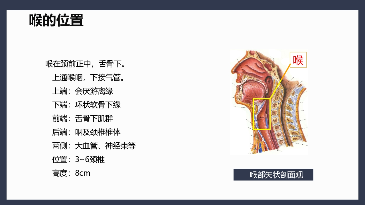气管切开术后患者护理查房PPT课件5