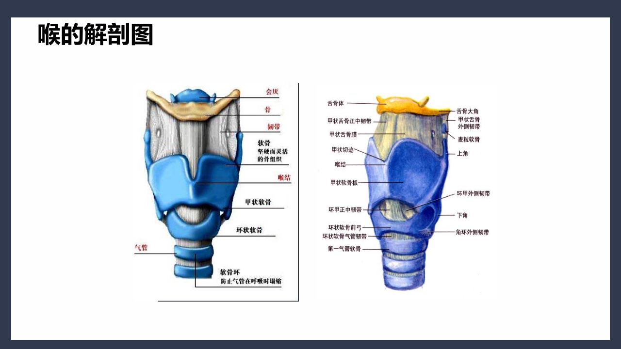 气管切开术后患者护理查房PPT课件6