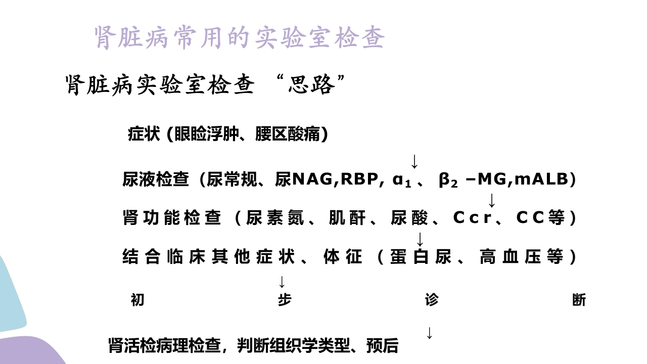 常用肾功能实验室检测PPT课件38