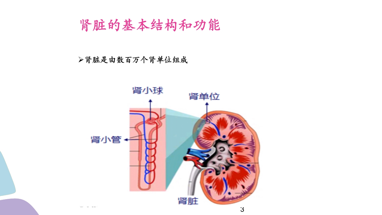 常用肾功能实验室检测PPT课件3