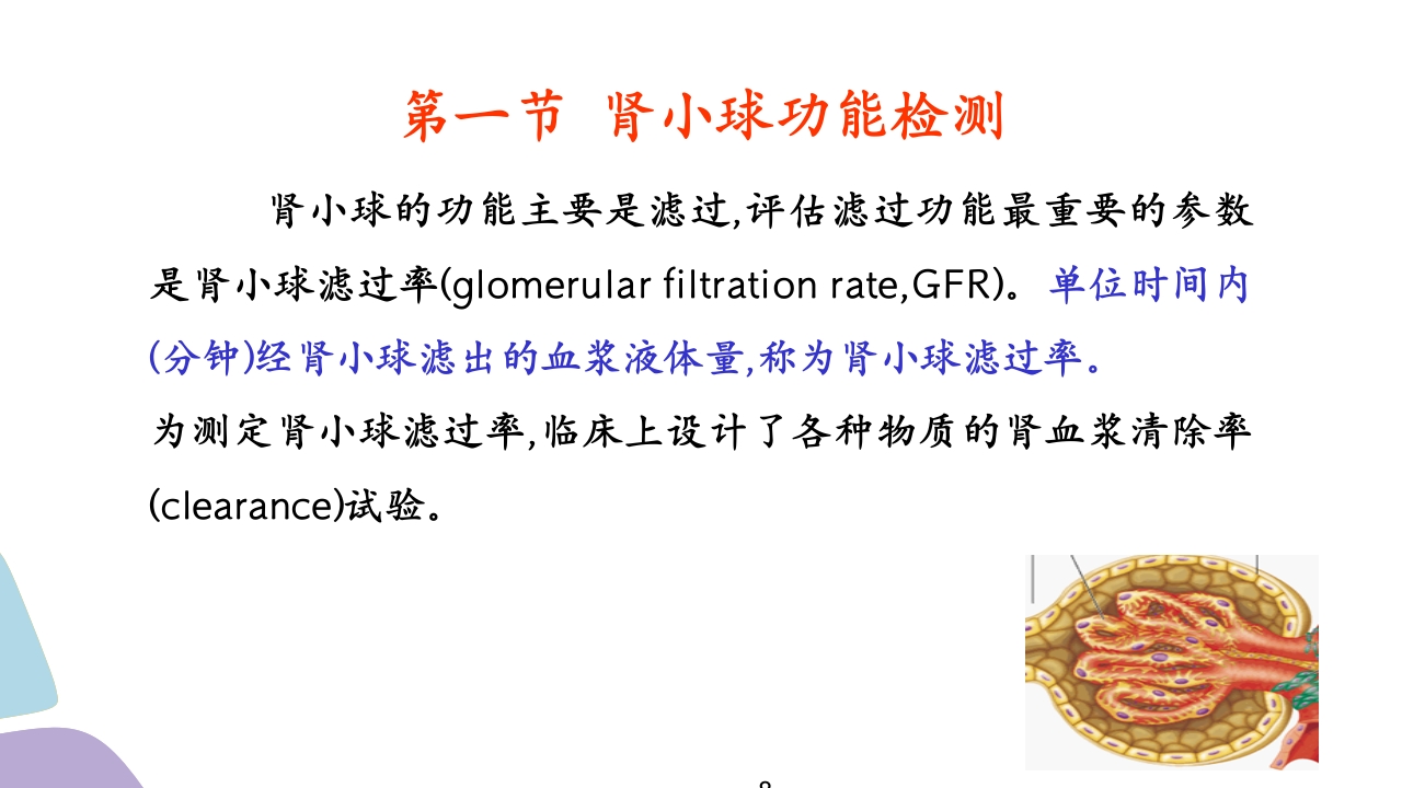 常用肾功能实验室检测PPT课件8