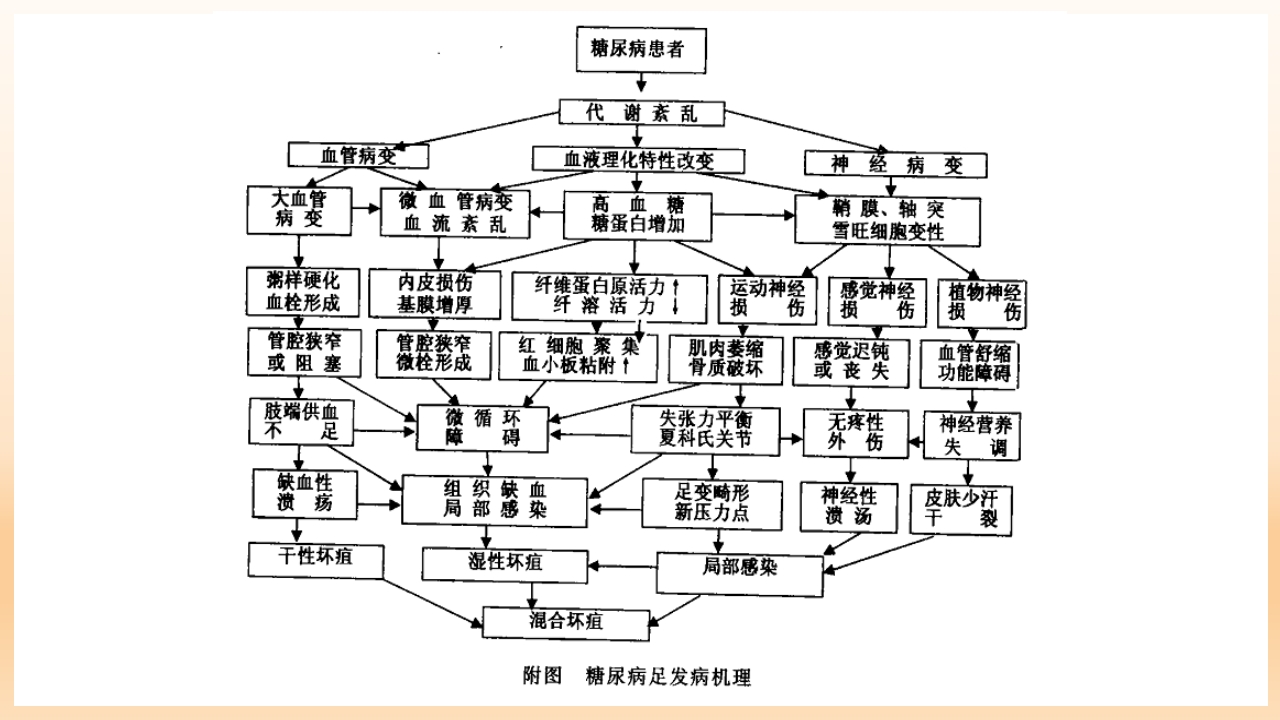 糖尿病足治疗与护理PPT课件18
