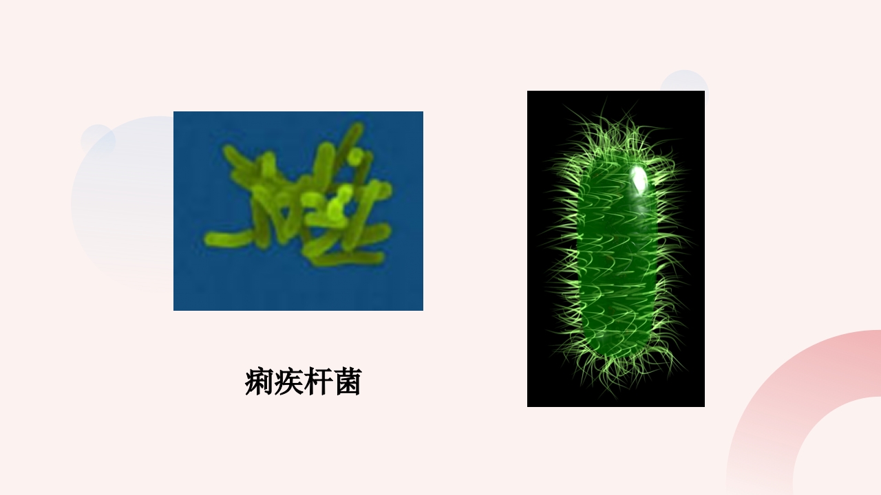 细菌性痢疾病人的护理ppt课件4