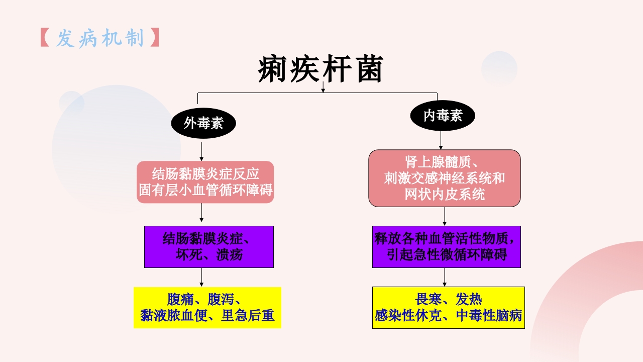 细菌性痢疾病人的护理ppt课件5