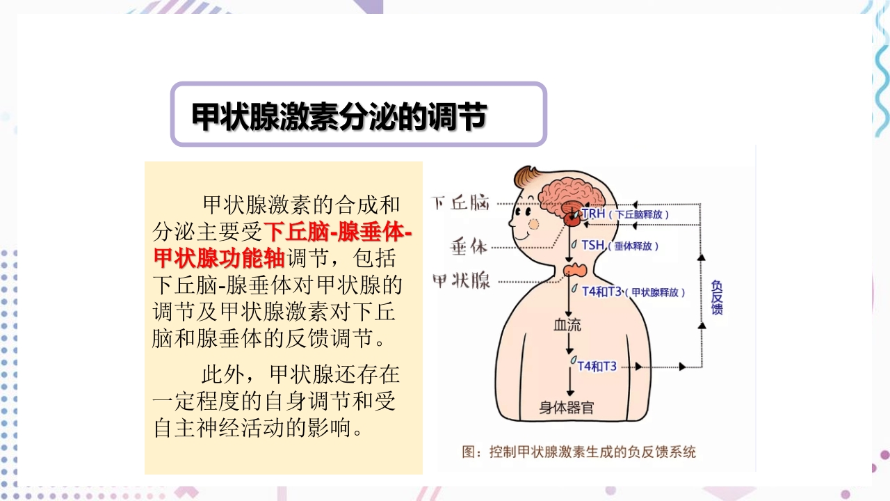 甲状腺功能相关测定及检验报告解读ppt课件10