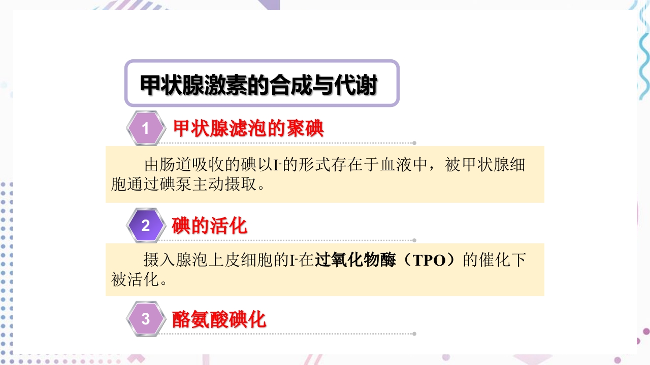 甲状腺功能相关测定及检验报告解读ppt课件5