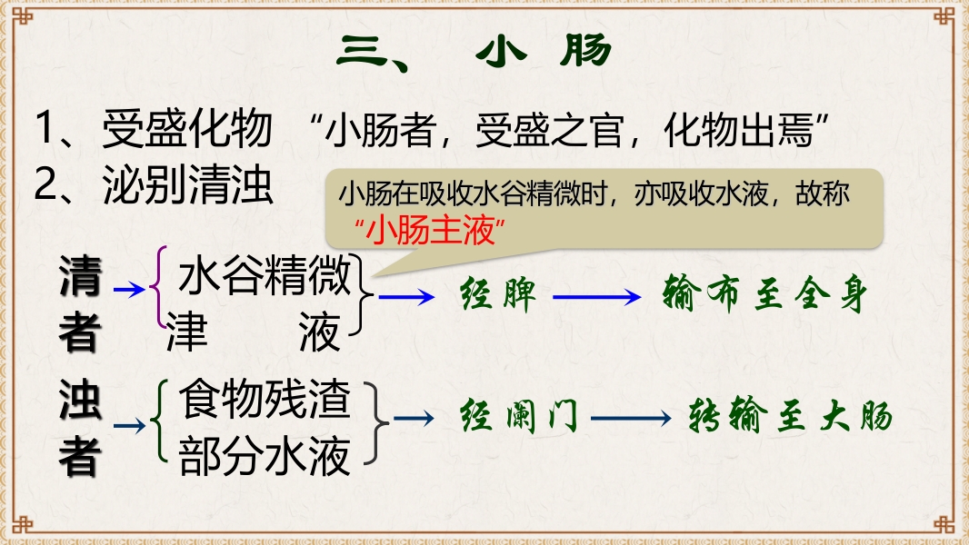 中医基础理论-藏象六腑奇恒之府ppt课件14