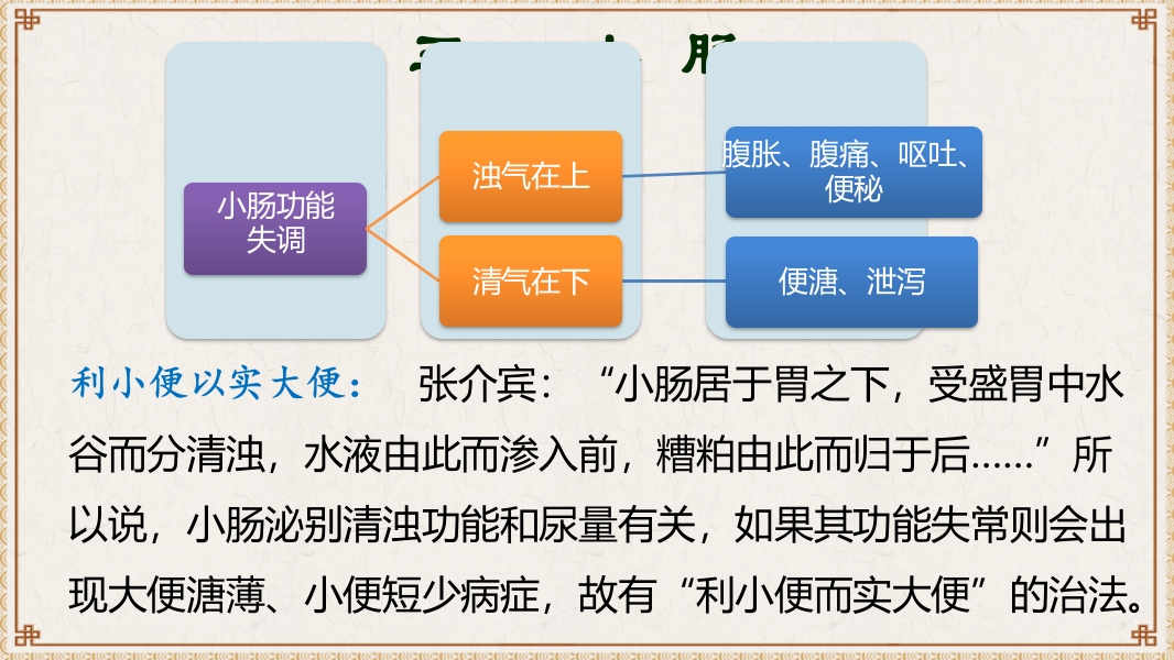 中医基础理论-藏象六腑奇恒之府ppt课件15