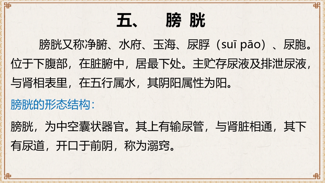 中医基础理论-藏象六腑奇恒之府ppt课件17