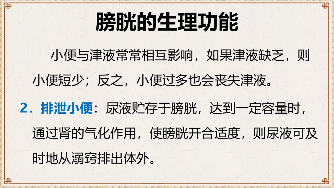 中医基础理论-藏象六腑奇恒之府ppt课件19