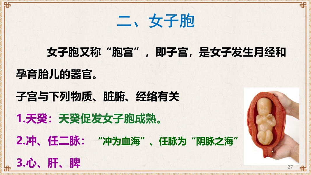 中医基础理论-藏象六腑奇恒之府ppt课件27