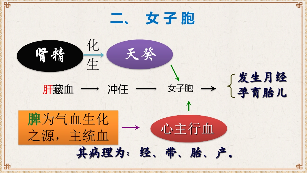 中医基础理论-藏象六腑奇恒之府ppt课件28