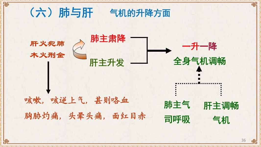 中医基础理论-藏象六腑奇恒之府ppt课件36