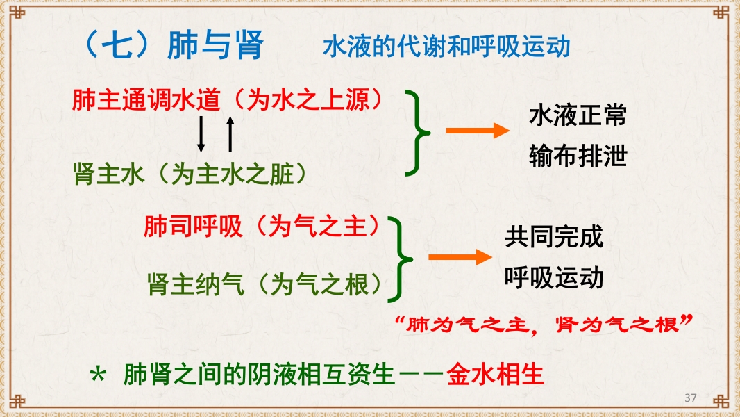 中医基础理论-藏象六腑奇恒之府ppt课件37