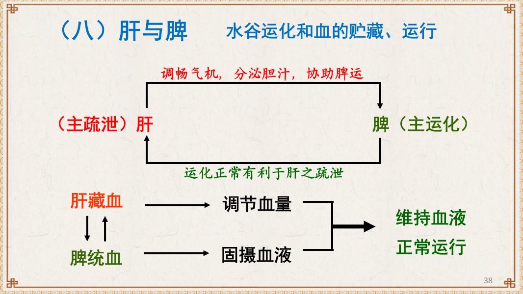 中医基础理论-藏象六腑奇恒之府ppt课件38