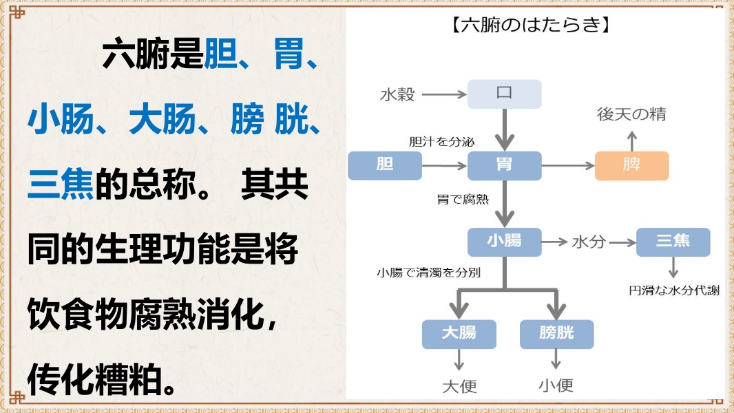 中医基础理论-藏象六腑奇恒之府ppt课件3