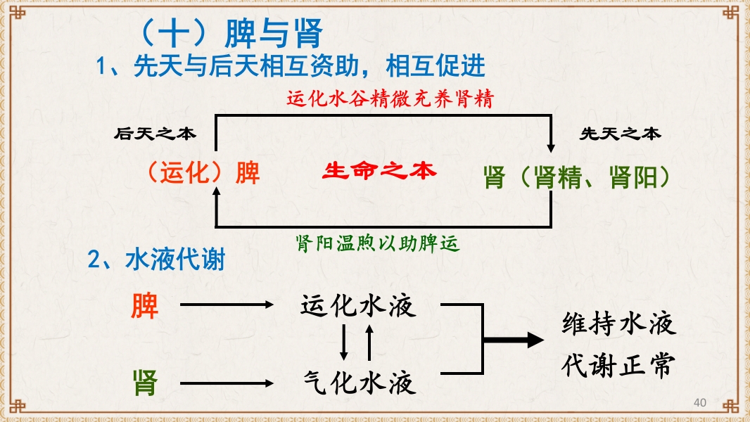 中医基础理论-藏象六腑奇恒之府ppt课件40