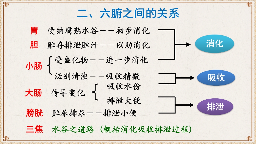 中医基础理论-藏象六腑奇恒之府ppt课件41