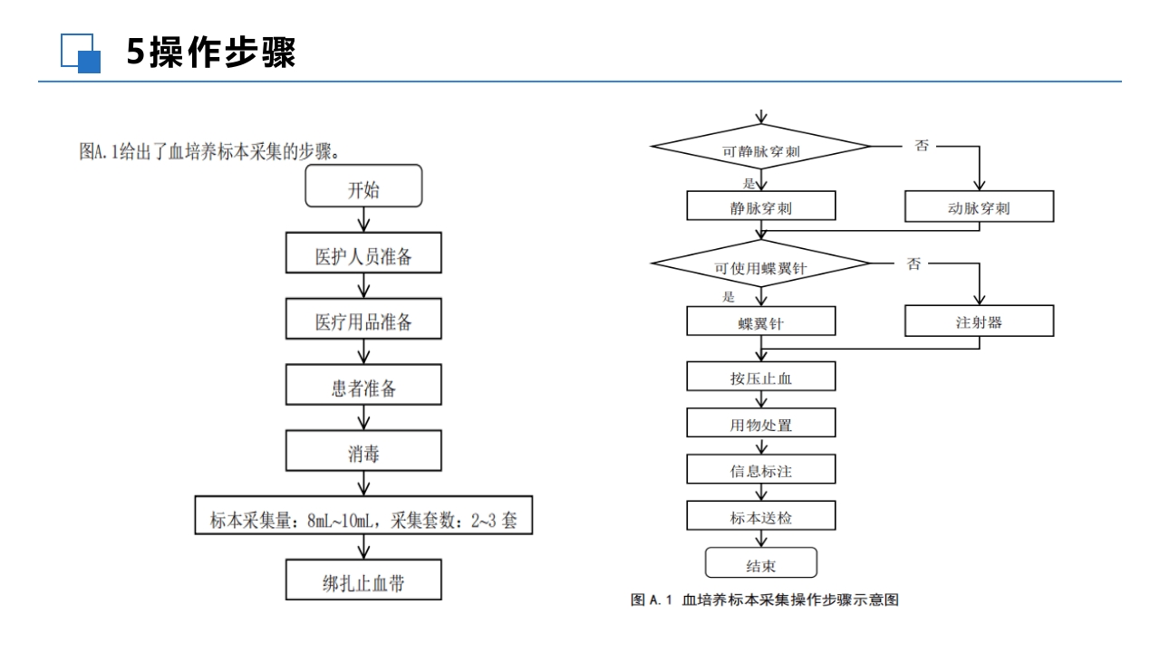 成人血培养标本采集操作规程PPT课件8
