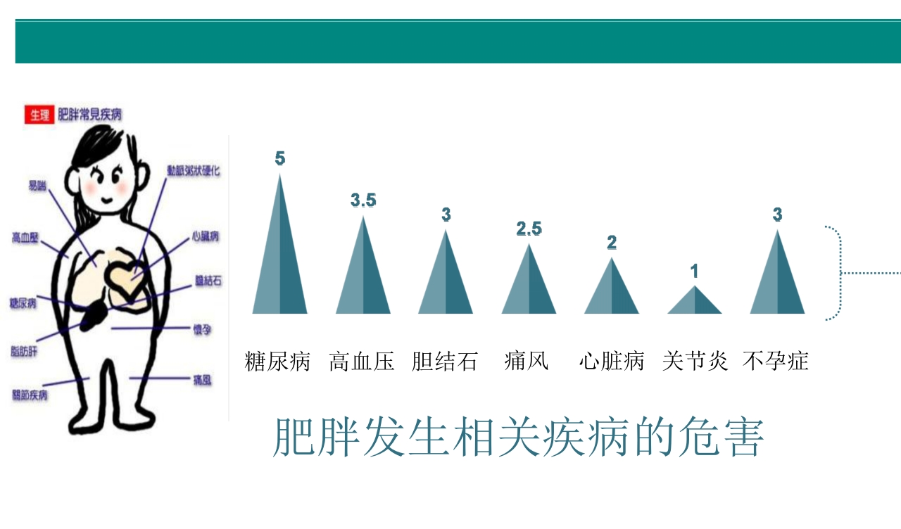 深度解析体重管理与营养策略2025PPT课件6