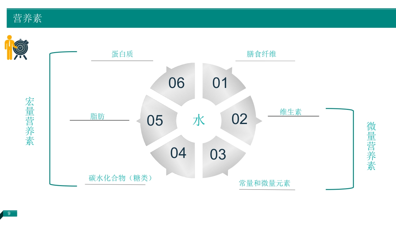 深度解析体重管理与营养策略2025PPT课件8