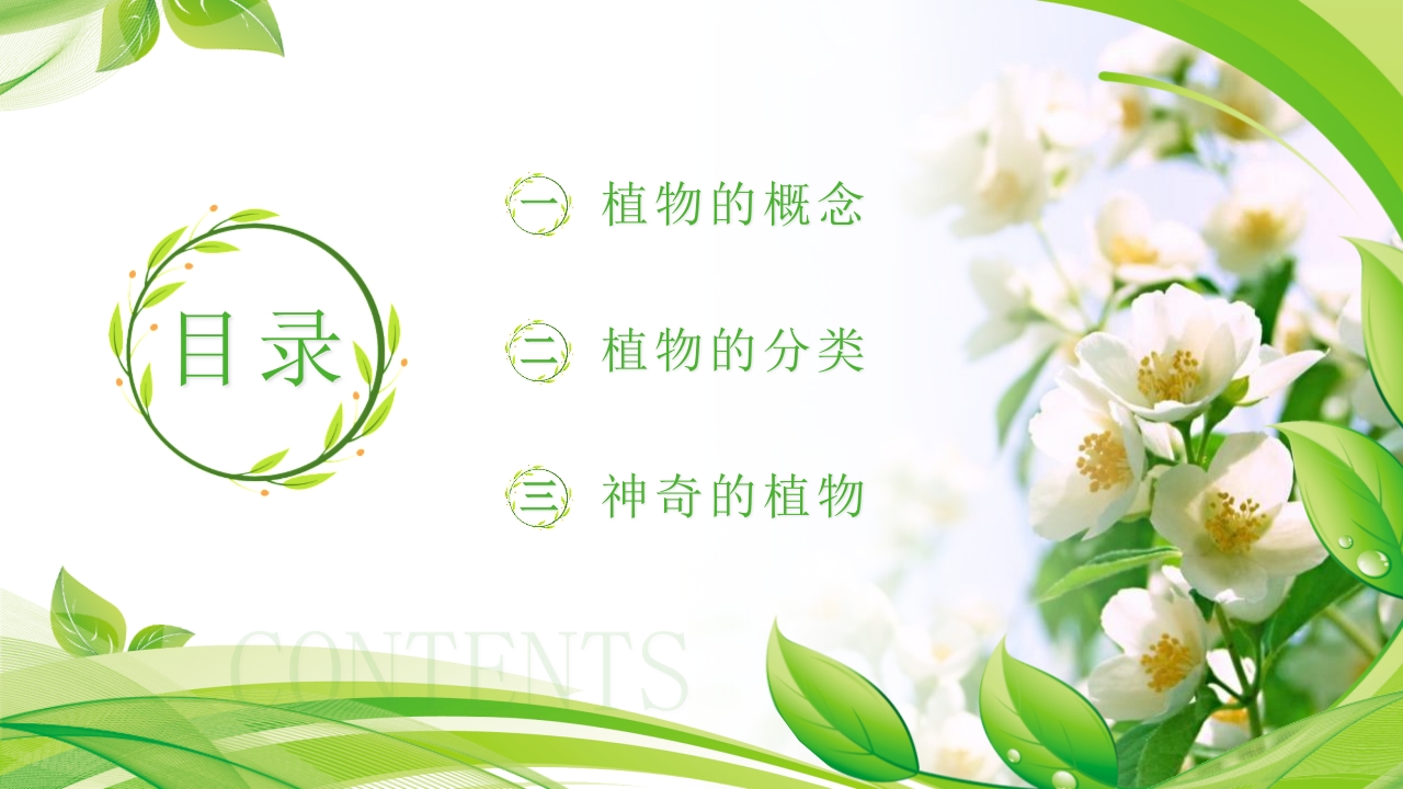 植物介绍笔记”植物知识科普介绍PPT课件2