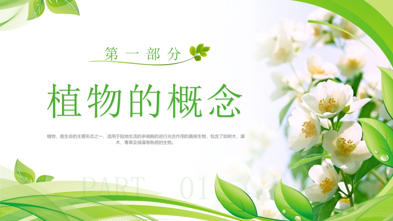 植物介绍笔记”植物知识科普介绍PPT课件3